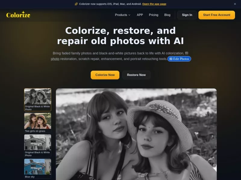 ImageColorizer 网站预览图