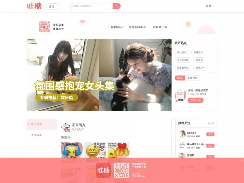 堆糖 网站预览图