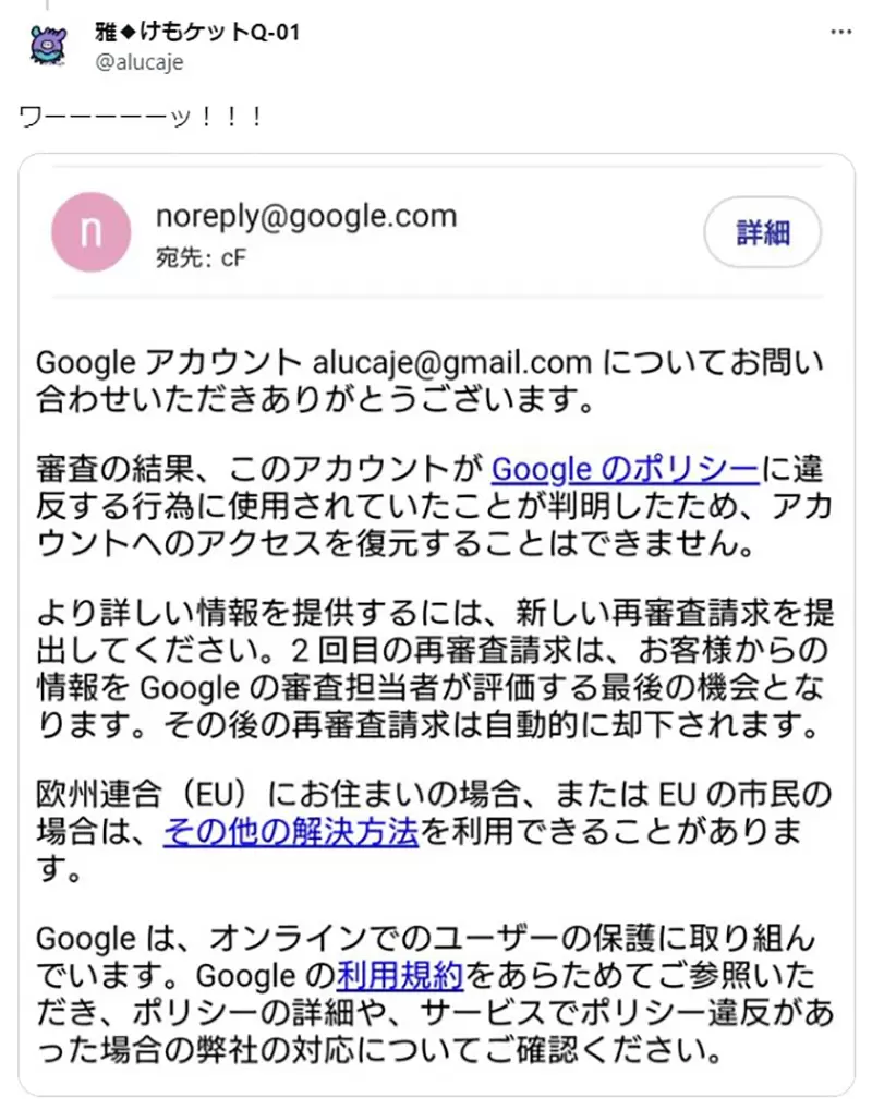 《兽控画师被Google锁帐号》上传云端硬碟要当心这下所有Google服务都不能用了