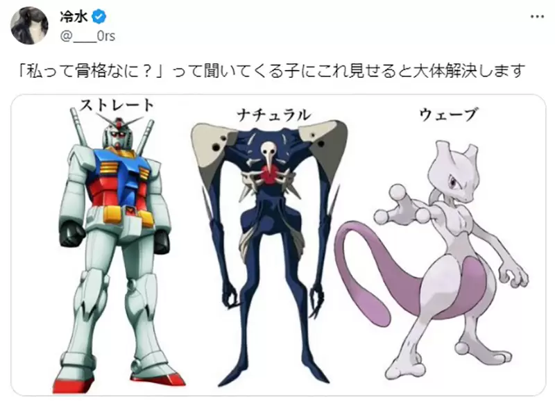 《宅宅专用骨架分析》直筒型、自然型、波浪型是什么？没有比这个更浅显易懂的例子了