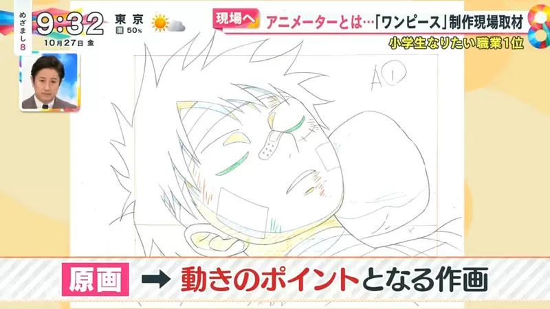 《从海贼王学动画制作》动画成形需要经历这些步骤资深动画师为什么最怕画路飞？