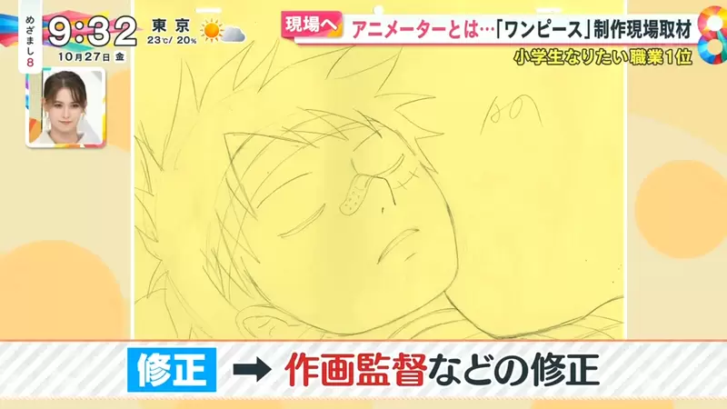 《从海贼王学动画制作》动画成形需要经历这些步骤资深动画师为什么最怕画路飞？