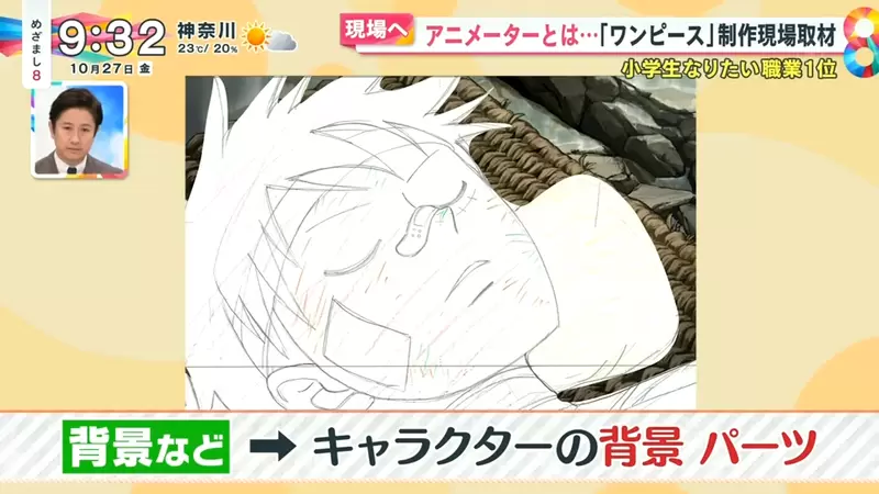 《从海贼王学动画制作》动画成形需要经历这些步骤资深动画师为什么最怕画路飞？
