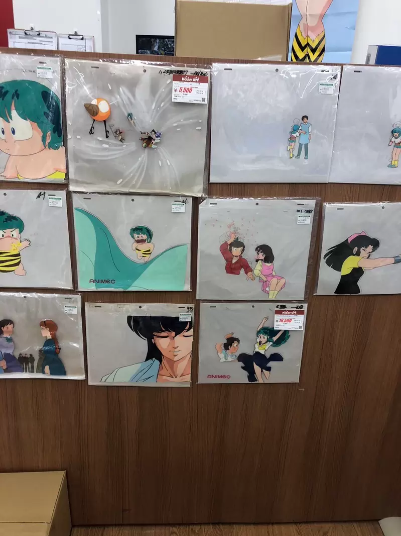 《二手商品店惊见珍贵动漫收藏》前主人去世被家人贱卖？所有宅宅将来都要面对这种事