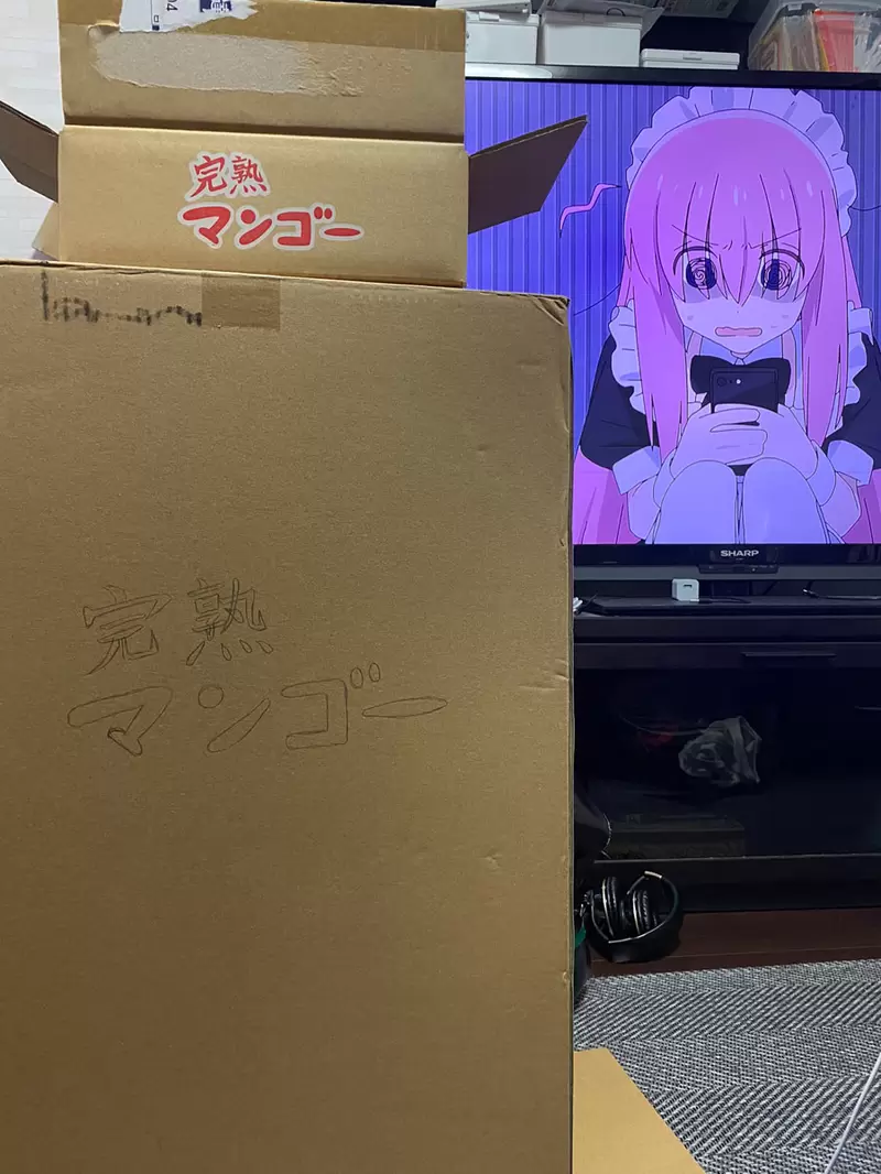 孤独摇滚！  《熟成芒果后背包》与其变成纸箱倒不如把纸箱背在后面的一个概念吗？