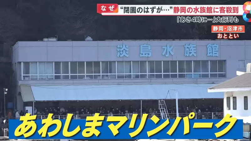 《LL Sunshine圣地水族馆关门》粉丝支持太踊跃不但延后关门还办了两场最终送别会