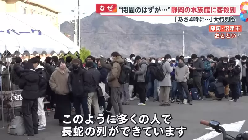 《LL Sunshine圣地水族馆关门》粉丝支持太踊跃不但延后关门还办了两场最终送别会