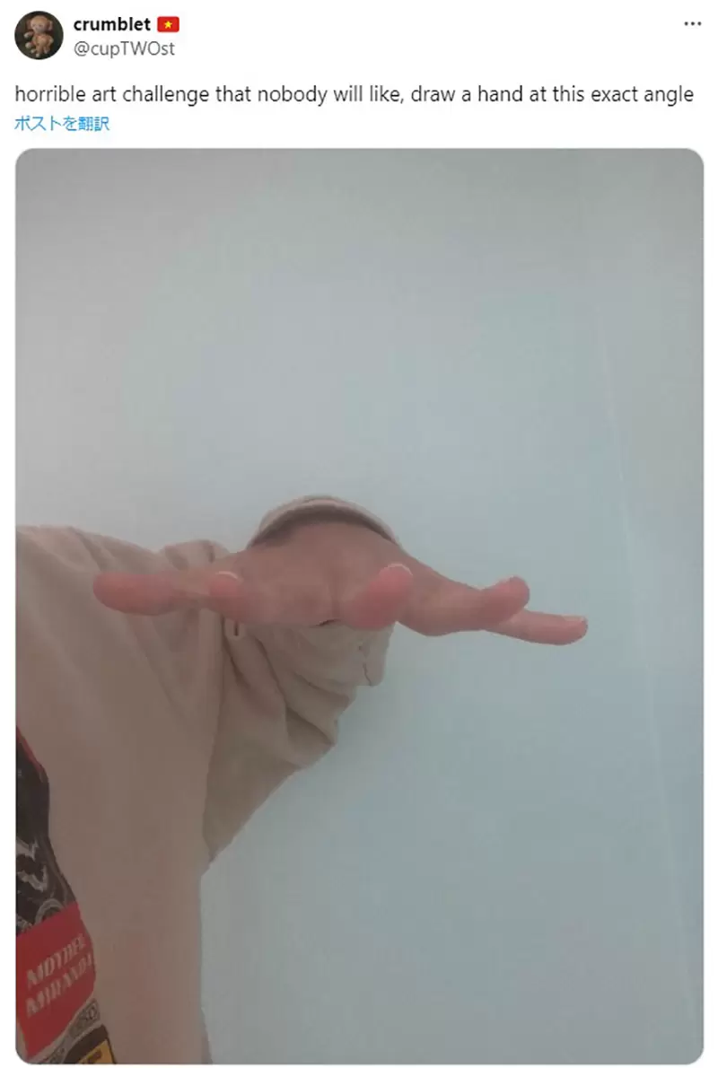 《没有画师喜欢的画画挑战》据说这个手势超难画？全球网友们纷纷接下战帖了……