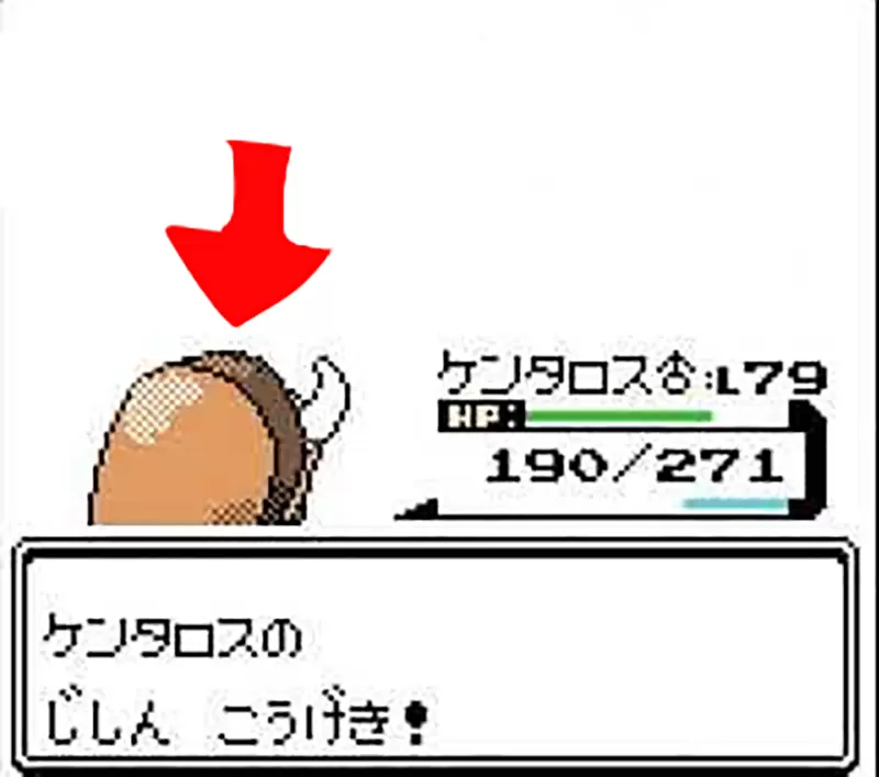 《宝可梦肯泰罗新解》背影像是插着羽毛头饰的少女？一旦看懂就再也回不去了