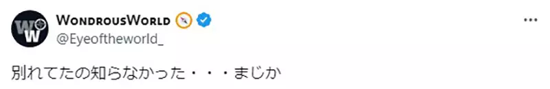 《漫画家青山刚昌纪录片》柯南声优高山南担任旁白引关注很多动漫迷根本不知道他们结过婚？