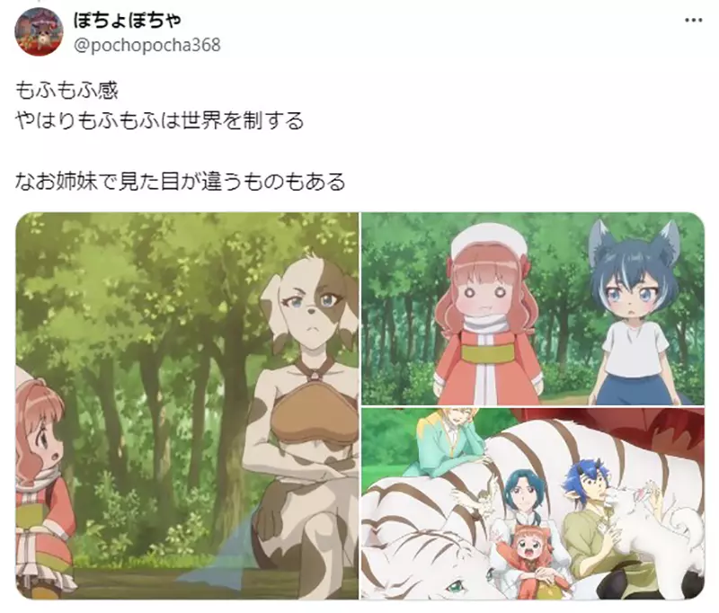 《迷宫饭VS猫》两边明明同样是兽人为什么可爱程度相差那么多？
