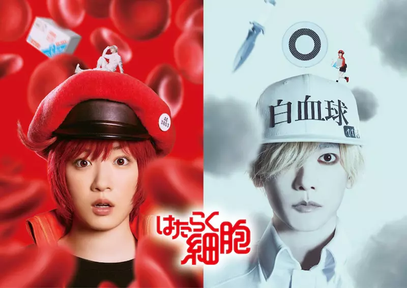 真人电影版《工作细胞》新演员名单公布芦田爱菜、阿部贞夫在本片再度饰演父女角色
