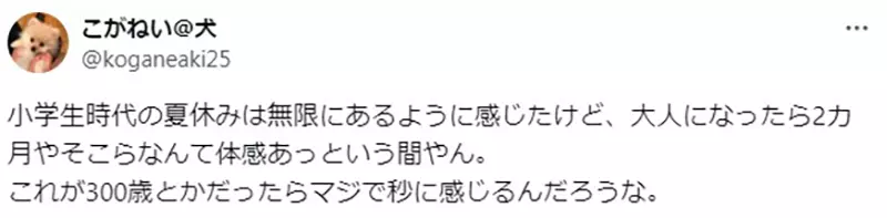 《芙莉莲：不过就是10年》10年对精灵而言真的很短吗？换算人类的感觉其实也很长？