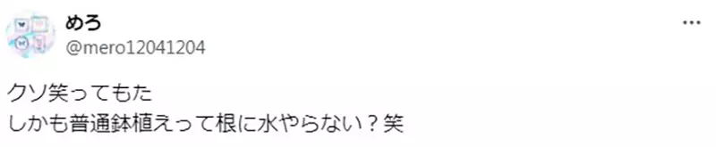 《网球王子✕植物园》粉丝发现合作海报有破绽幸村是故意在找龙马麻烦吗？