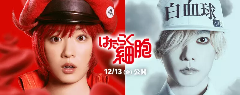 真人电影版《工作细胞》新演员名单公布染谷将太、小泽真珠加入演出阵容，负责代谢与解毒的「肝细胞」由深田恭子担纲演出