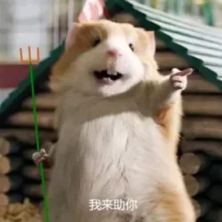 明天正向代理