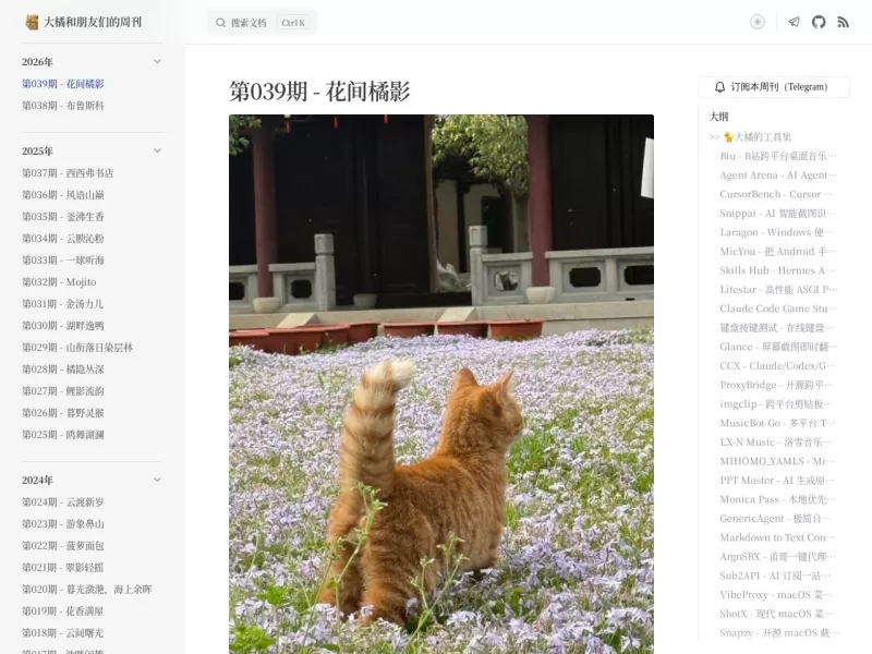 大橘和朋友们的周刊 网站预览截图