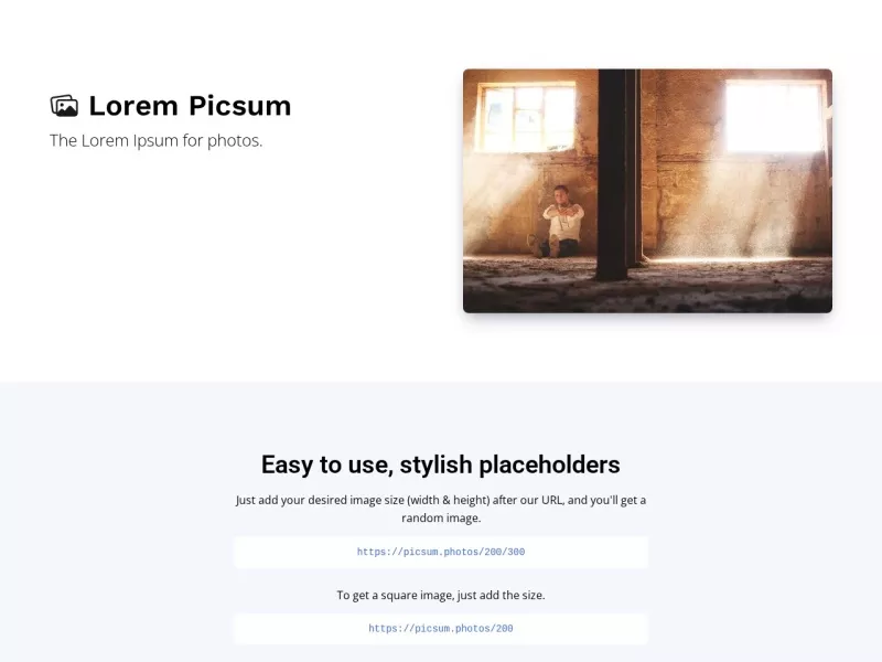 Lorem Picsum 网站预览截图