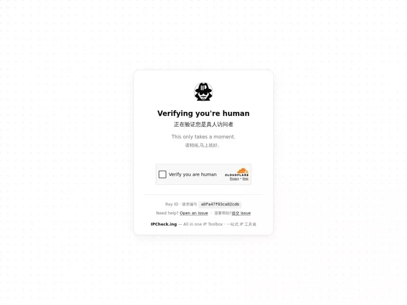 IPChecking 网站预览截图
