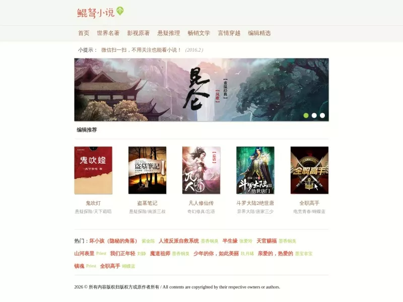 鲲弩小说 网站预览截图