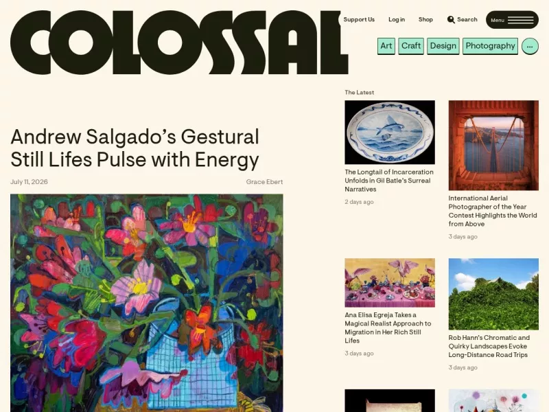 Colorssal 网站预览截图