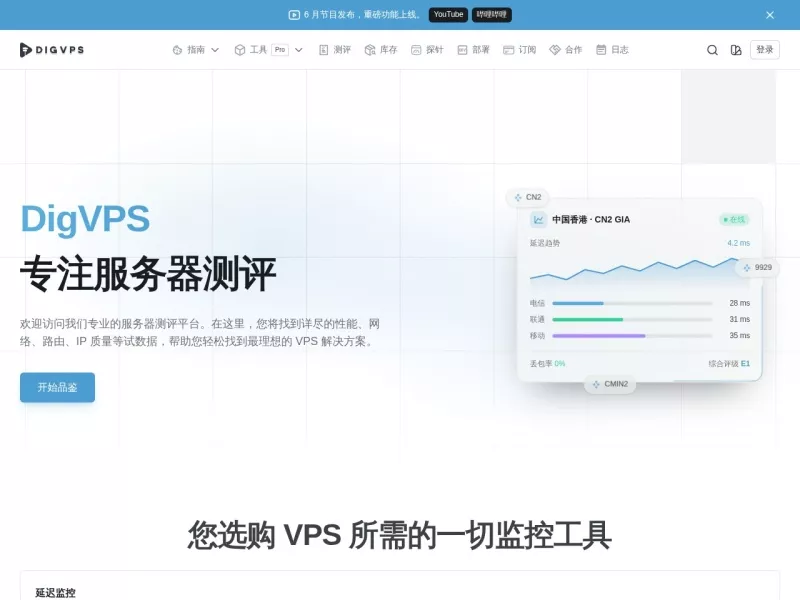 DigVPS 网站预览截图