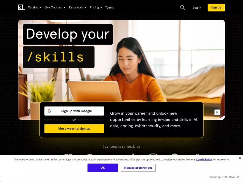Codecademy 网站预览截图