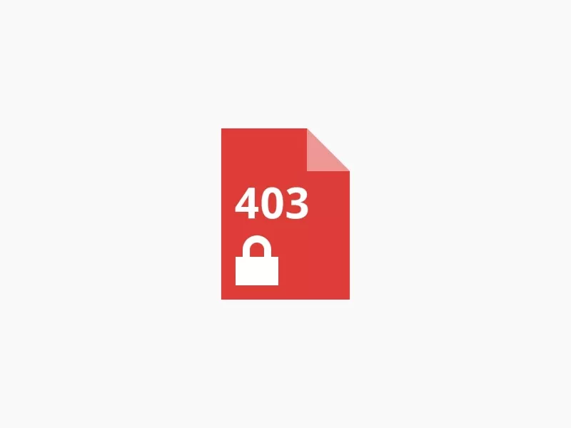 WebCS 网站预览截图