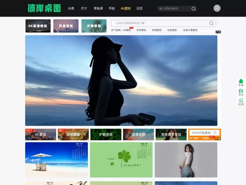 彼岸桌面 网站预览截图