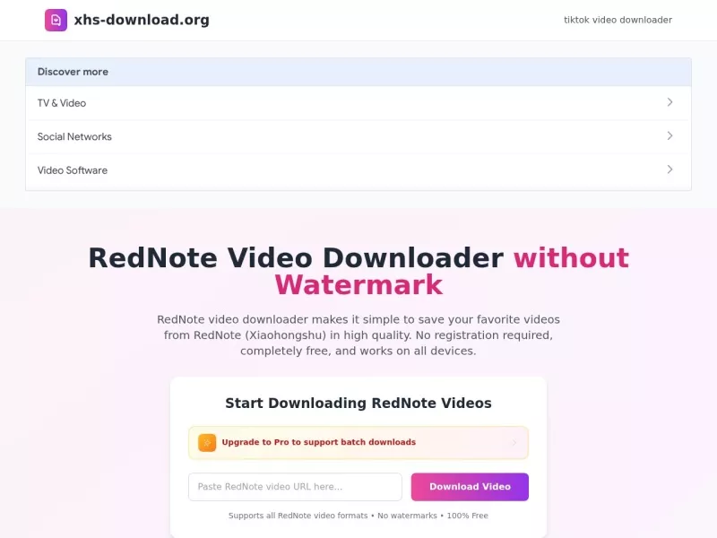 RedNote Video Downloader 网站预览截图