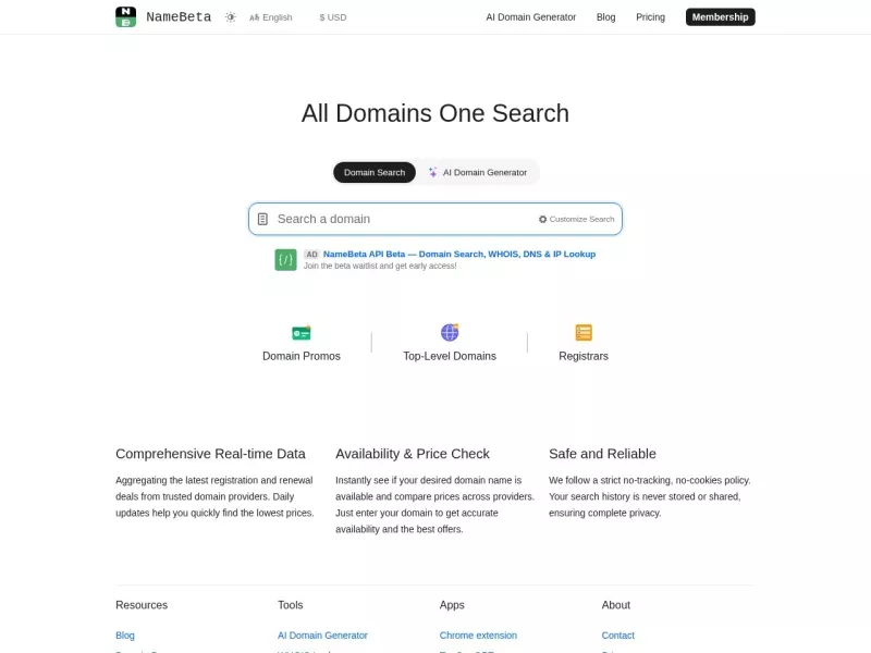 NameBeta 网站预览截图