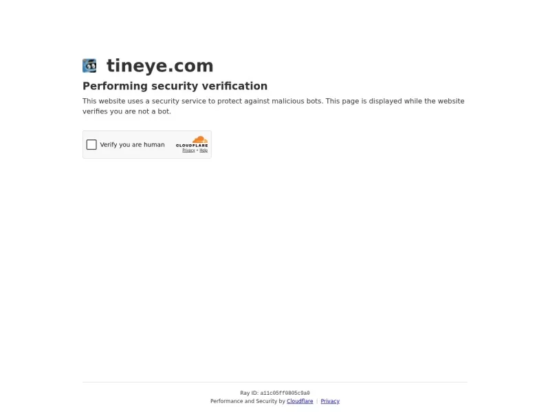 TinEye 网站预览截图