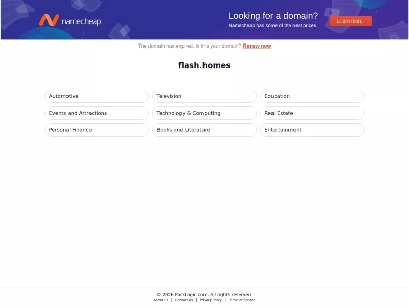 Flash 保存计划 网站预览截图