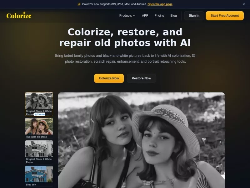 ImageColorizer 网站预览截图