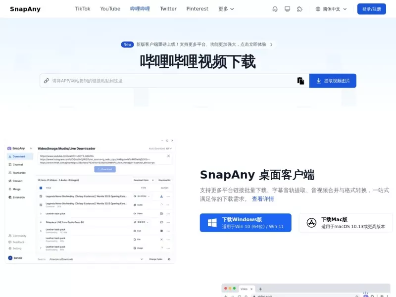 哔哩哔哩视频解析下载 网站预览截图