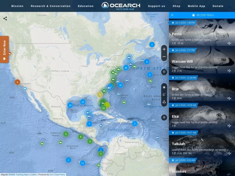 OCEARCH鲨鱼跟踪器 网站预览截图