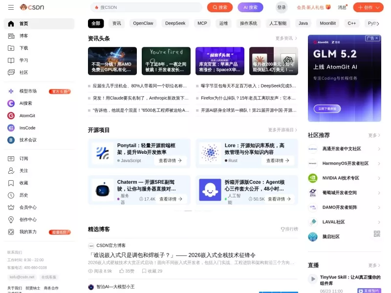 CSDN 网站预览截图