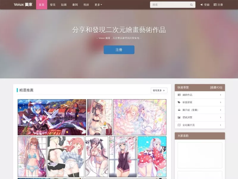 Voiux 图库 网站预览截图