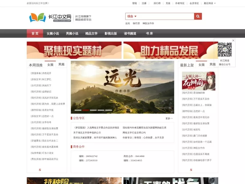 长江中文网 网站预览截图