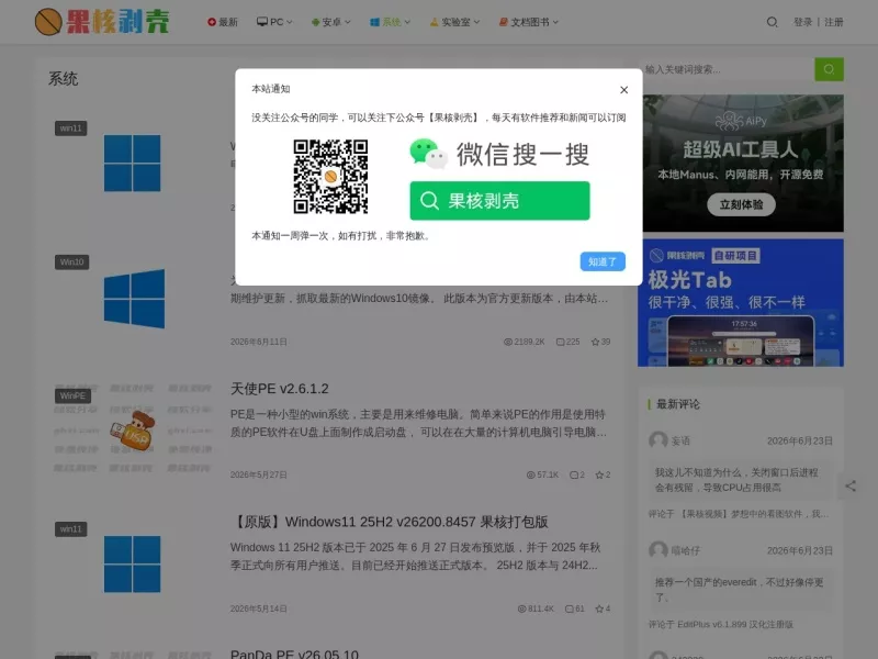 果核系统镜像 网站预览截图