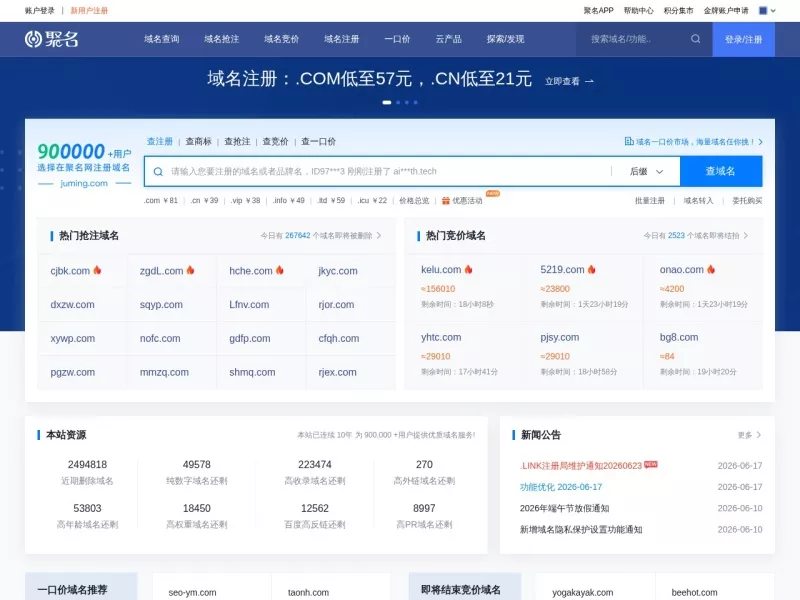 聚名网 网站预览截图