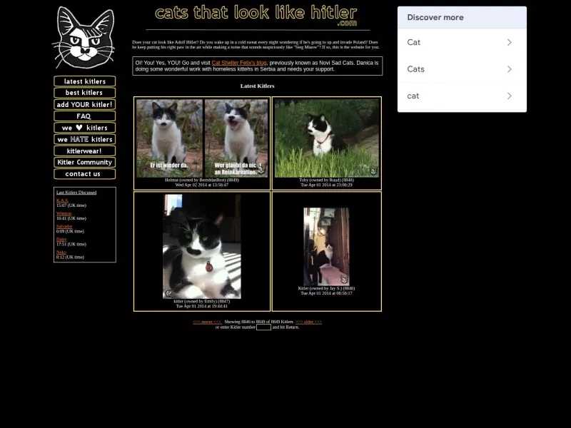 cats that look like hitler 网站预览截图