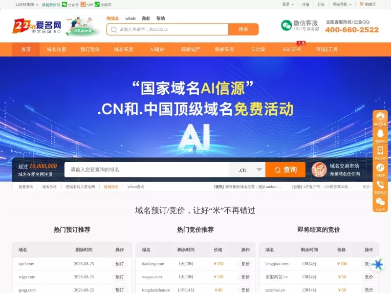 爱名网 网站预览截图