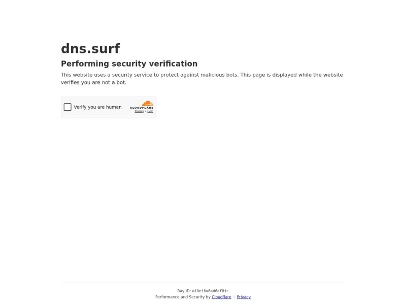 DNS.Surf 网站预览截图
