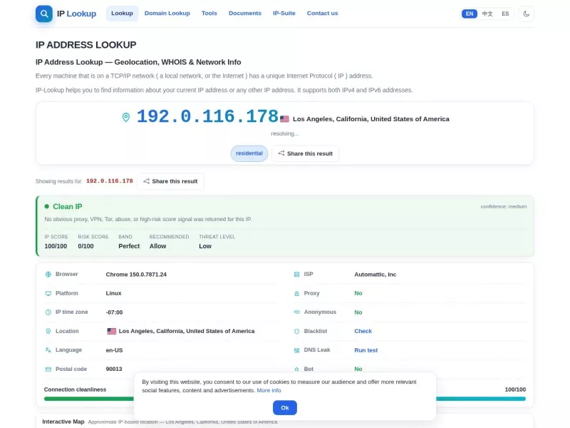 IP Lookup 网站预览截图