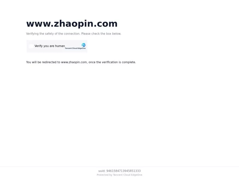 智联招聘 网站预览截图
