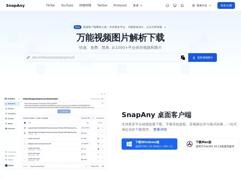 SnapAny 网站预览截图