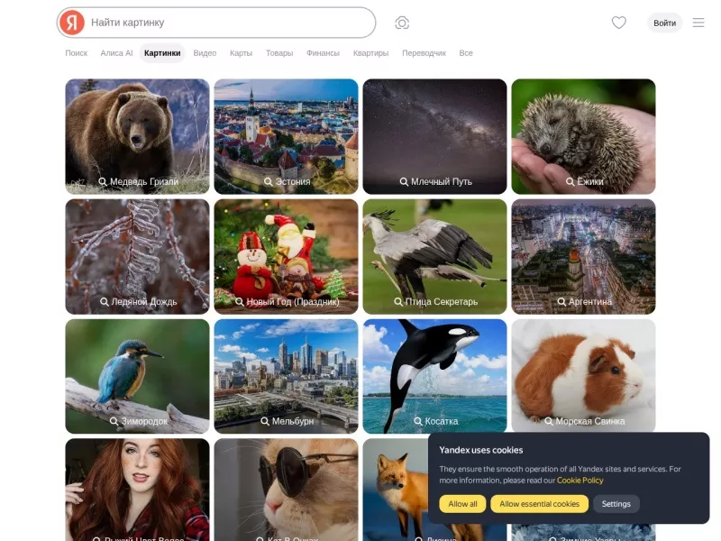 Yandex图片搜索 网站预览截图